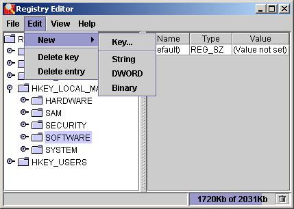 Registry Editor